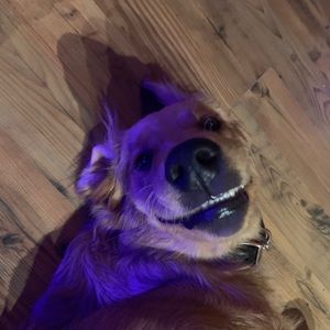 Meet your Posher, Cameron